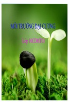 Bài báo cáo thảo luận-môi trường đại cương