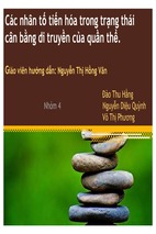 Bài báo cáo thảo luận-các nhân tố tiến hóa trong trạng thái cân bằng di truyền của quần thể