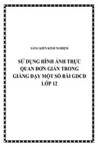 Skkn sử dụng hình ảnh trực quan đơn giản trong giảng dạy một số bài gdcd lớp 12