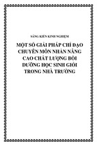 Skkn một số giải pháp chỉ đạo chuyên môn nhằm nâng cao chất lượng bồi dưỡng học sinh giỏi trong nhà trường