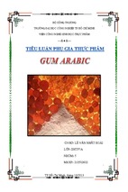 Tiểu luận về  gum arabic