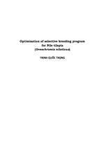 Optimisation of selective breeding program for nile tilapia (oreochromis niloticus)