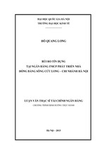 Rủi ro tín dụng tại ngân hàng tmcp phát triển nhà đồng bằng sông cửu long - chi nhánh hà nội