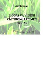 Tieu luan biogas va vi sinh vat trong len men biogas