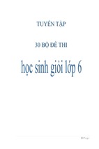 Tuyển tập 30 bộ đề thi học sinh giỏi lớp 6 môn toán (có đáp án)