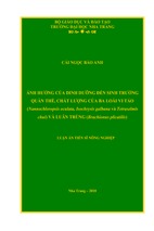 Ảnh hưởng của dinh dưỡng đến sinh trưởng quần thể, chất lượng của ba loài vi tảo nannochloropsis oculata, isochrysis galbana và tetraselmis chui) và luân trùng (brachionus plicatilis)