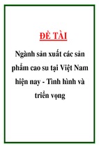 Ngành sản xuất các sản phẩm cao su tại việt nam hiện nay -tình hình và triển vọng