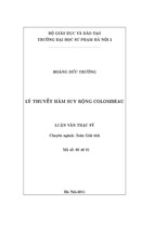 Lý thuyết hàm suy rộng colombeau