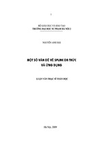 Một số vấn đề về spline đa thức và ứng dụng. luận văn thạc sĩ toán học