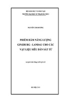 Phiếm hàm năng lượng ginzburg - landau cho các vật liệu siêu dẫn sắt từ