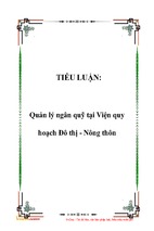 Tiểu luận quản lý ngân quỹ tại viện quy hoạch đô thị - nông thôn