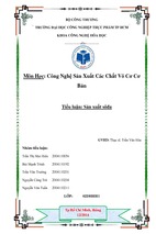 Tiểu luận   sản xuất sôđa