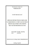 Kiểm soát rủi ro tín dụng trong cho vay khách hàng cá nhân tại ngân hàng tmcp công thương việt nam- chi nhánh bắc đà nẵng