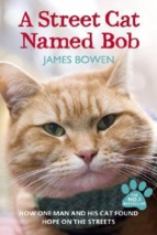 Giới thiệu: a street cat named bob