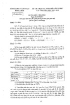 Đề thi học sinh giỏi lớp 12 thpt tỉnh đồng tháp môn hóa học (năm học 2012 - 2013)