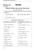 Ôn thi đại học môn toán - chuyên đề: tích phân