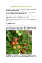 Hướng dẫn trồng rau ăn trái tại nhà