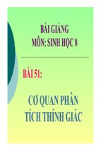 Bài giảng cơ quan phân tích thính giác sinh học 8