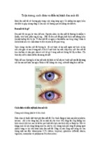 Triệu trứng, cách chữa và điều trị bệnh đau mắt đỏ