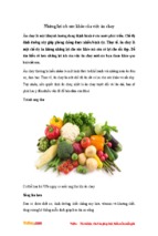 Những lợi ích sức khỏe của việc ăn chay