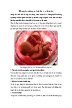Khám phá những sự thật thú vị về thai nhi