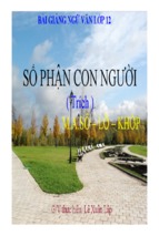 Bài giảng số phận con người