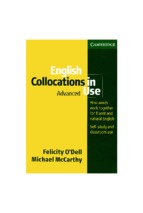 English collocations in use (advanced)