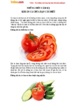 Những điều cấm kỵ khi ăn cà chua bạn cần biết