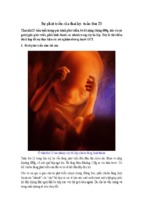 Sự phát triển của thai kỳ: tuần thứ 23