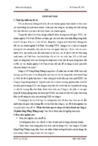 Phân tích hiệu quả sử dụng vốn kinh doanh tại công ty cổ phần sông hồng thăng long