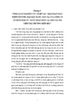 Giải pháp phát triển thương mại mặt hàng giầy da của công ty cổ phần đầu tư da giầy hà nội trên thị trường miền bắc