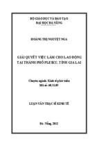 Giải quyết việc làm cho lao động tại thành phố Pleiku, tỉnh Gia Lai