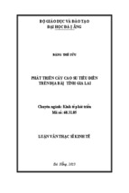 Phát triển cây cao su tiểu điền trên địa bàn tỉnh Gia Lai
