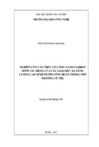 Luận Văn Nghiên Cứu Cấu Trúc Của Ống Nano Carbon Dưới Tác Động Của Bức Xạ Năng Lượng Cao