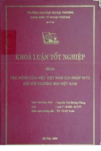 Tác động của việc Việt Nam gia nhập WTO đối với thương mại Việt Nam