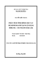 Phân tích tình hình cho vay hộ kinh doanh tại ngân hàng HDBANK, chi nhánh Đăk lăk