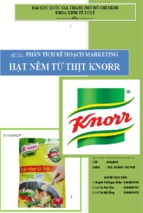 Marketing hạt nêm Knorr