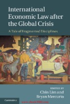 International_economic_law_after_the_global_crisis_a_tale_of_fragmented_disciplines