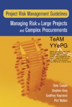 Wiley, project risk management guidelines (2005)