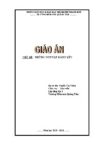 Những con vật đáng yêu