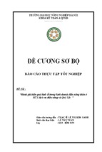 Bia de cuong so bo (le van tuan)