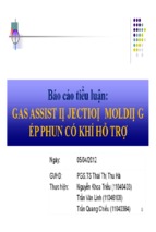 Gas assist injection molding ép phun có khí hỗ trợ