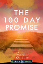 The 100 day promise - sandi amorim