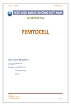 Cấu trúc femtocell và hướng triển khai
