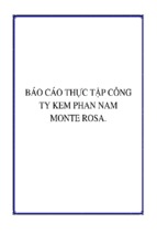 Báo cáo thực tập công ty kem phan nam monte rosa, luận văn tốt nghiệp đại học, thạc sĩ, đồ án,tiểu luận tốt nghiệp