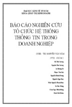 Báo cáo nghiên cứu tổ chức hệ thống thông tin trong doanh nghiệp