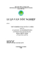 Luận văn tốt nghiệp thử nghiệm ương nuôi cá xiêm (baetta splendes) và cá bống tượng (oxyeleotris marmorata) bằng trùn giấm (tubatrix aceti) - đh nông lâm tp hồ chí minh