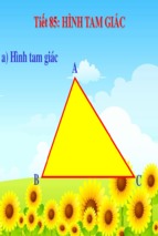 Bài giảng bài hình tam giác toán 5 (5)