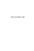 Báo cáo thực tập thực tập sản xuất nông nghiệp