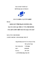 Khảo sát tình trạng methyl hóa tại các đảo cpg thuộc vùng promoter của gen gstp1trên một số loại ung thư